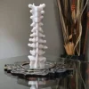 Gothic Spinal Cord Bone Candle - Image 4