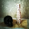 Gothic Spinal Cord Bone Candle - Image 7